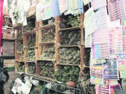 HIERBERÍAS. En el Mercado Corona abundan los puestos con variedad de plantas.  /