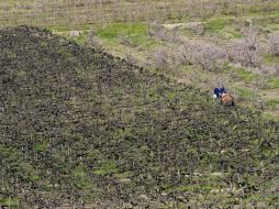 En las cercanías de Cape Town, un tractor prepara la tierra africana para la siembra. ARCHIVO  /