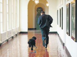 Obama decidió quedarse con este perro llamado Bo, que el primer día correteó a su lado por un pasillo de la Casa Blanca. PETE SOUZA  /