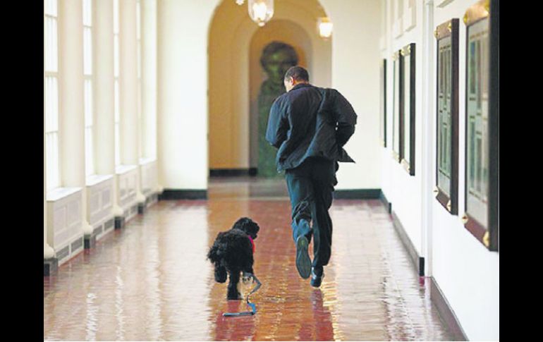 Obama decidió quedarse con este perro llamado Bo, que el primer día correteó a su lado por un pasillo de la Casa Blanca. PETE SOUZA  /