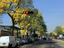 En el proyecto se plantea que La Paz funcione con una circulación de Poniente a Oriente. ARCHIVO  /