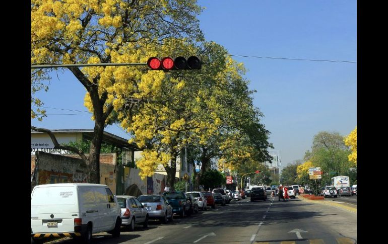 En el proyecto se plantea que La Paz funcione con una circulación de Poniente a Oriente. ARCHIVO  /