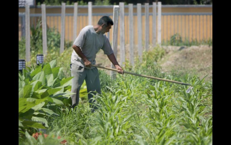 Los participantes al coloquio buscan soluciones a los problemas del campo del país.  /