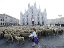 Las vistosas agujas de la catedral del duomo de Milán, italia, claman por una reconstrucción. EFE  /