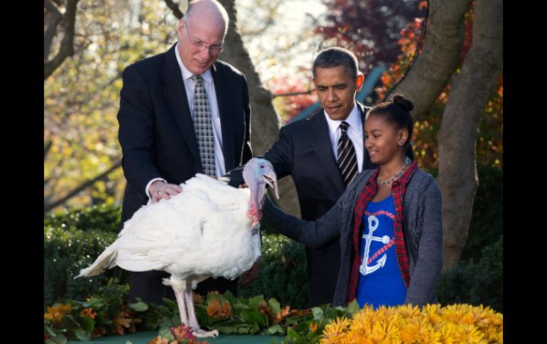 El presidente Barack Obama indultó hoy en una ceremonia celebrada en los jardines de la Casa Blanca al pavo Cobbler. AP  /