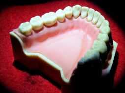 Fue extraída de la pulpa dental del tercer molar. ARCHIVO  /