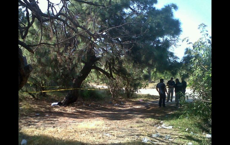 Personal del Instituto Jalisciense de Ciencias Forenses y de la Procuraduría estatal arribaron hasta el lugar.  /