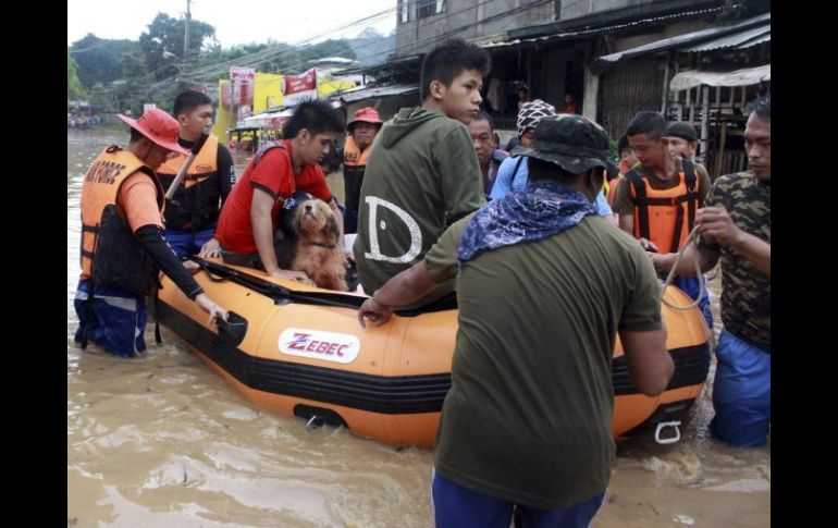 Miembros de las Fuerzas aéreas evacúan a varias personas debido a las inundaciones sufridas al paso del tifón ''Bopha''. EFE  /