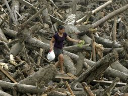 Una mujer filipina carga con una bolsa con provisiones de auxilio a través de los troncos caídos en un pueblo destrozado. EFE  /