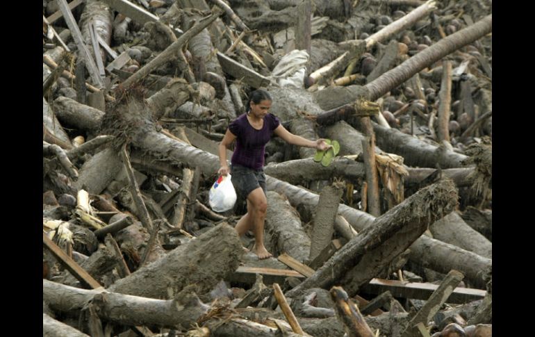 Una mujer filipina carga con una bolsa con provisiones de auxilio a través de los troncos caídos en un pueblo destrozado. EFE  /