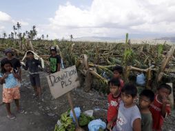 Bopha ha sido ser el peor tifón en 2012 para Filipinas. Miles de personas se han quedado sin casa y sin comida. AP  /