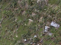 Vista aérea de los destrozos causados por el tifón Bopha. EFE  /