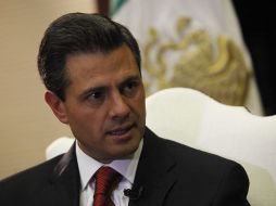 AI pide a Peña Nieto enfrentar las cuestiones más acuciantes en materia de derechos humanos. ARCHIVO  /