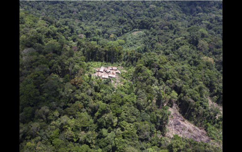 La selva amazónica se encuentra en grave peligro debido a las madereras ilegales. ARCHIVO  /