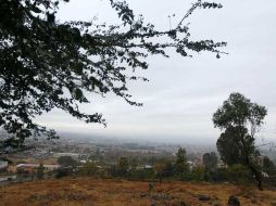 La lluvia pertinaz que ayer se mantuvo en la Zona Metropolitana de Guadalajara ayudó a disipar los contaminantes. ARCHIVO  /