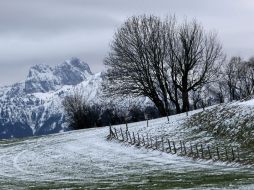 Vista de nieve fresca cubriendo el paisaje en las colinas de los Alpes, cerca a Enisried. EFE /