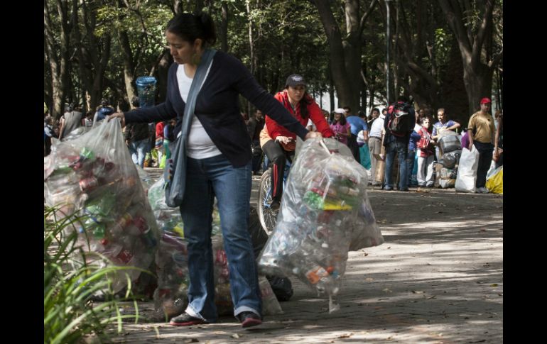 Los bosques urbanos, junto con los parques públicos, tienen capacidad para atenuar las altas temperaturas de las ciudades. ARCHIVO /