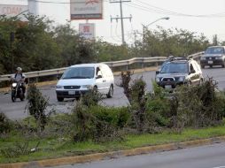 El colectivo Red Árbol ha detectado por lo menos una veintena de podas irregulares en la ZMG. ARCHIVO /