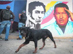 Íconos. Una barda en Caracas con las imágenes de Simón Bolívar y Hugo Chávez. EFE /