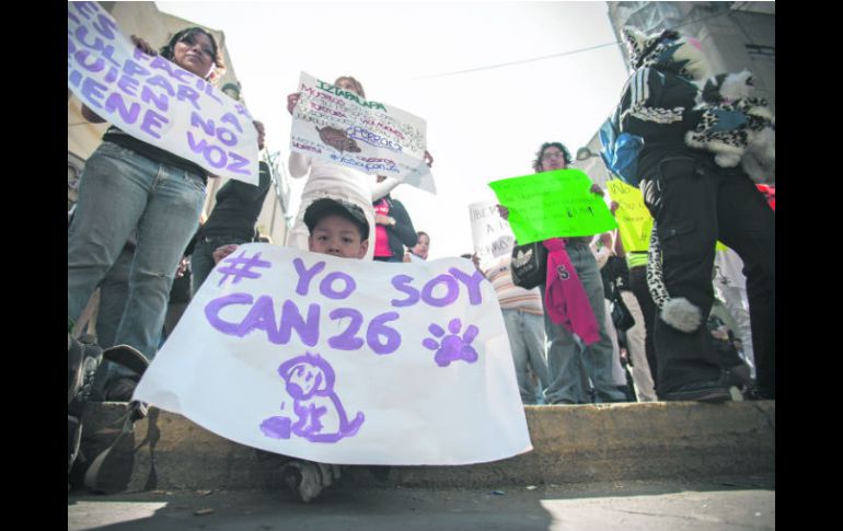 Se manifestaron decenas de personas en el centro de la Ciudad de México para pedir que les entreguen a los 54 perros callejeros. XINHUA /