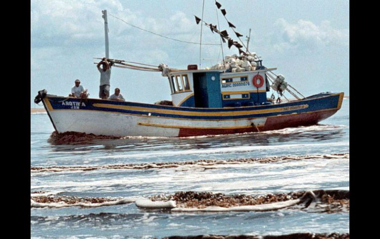 Cerca de las 14:00 horas tres pescadores arribaron al muelle del Camino Real. ARCHIVO /