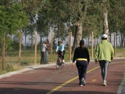 Sugieren que tanto el Metropolitano como otros parques urbanos se sometan a un balance ecológico y económico. ARCHIVO /