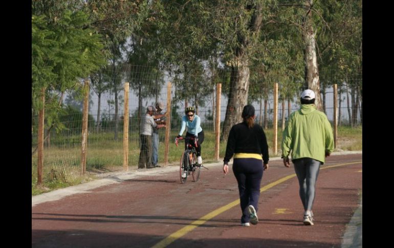 Sugieren que tanto el Metropolitano como otros parques urbanos se sometan a un balance ecológico y económico. ARCHIVO /