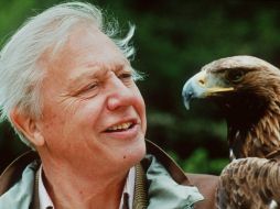 Visión pesimista o realista; David Attenborough de cualquier manera es un estudioso muy bien informado. ARCHIVO /