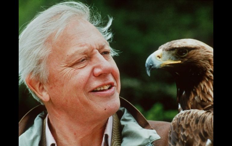 Visión pesimista o realista; David Attenborough de cualquier manera es un estudioso muy bien informado. ARCHIVO /