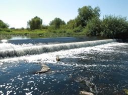 Según la CEA, Poncitlán y Ocotlán son otras localidades que no tratan su agua residual. EL INFORMADOR /