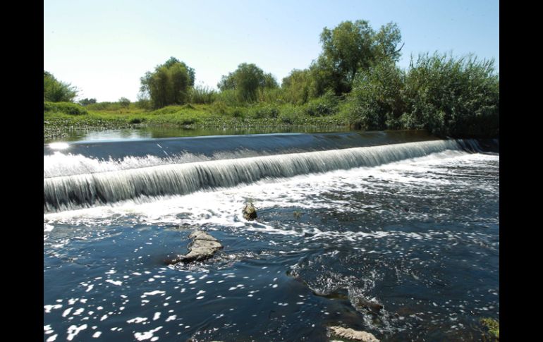 Según la CEA, Poncitlán y Ocotlán son otras localidades que no tratan su agua residual. EL INFORMADOR /