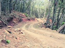 Primeras señales. Las obras ya se dejan ver en el boscoso Cerro Viejo, Tlajomulco de Zúñiga. EL INFORMADOR /