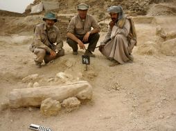 Foto del Ministerio de Estado egipcio para las Antigüedades del hallazgo del ataúd de un niño de hace unos tres mil 550 años. EFE /