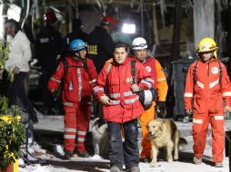 Equipos de rescate siguen trabajando en la zona de la sede central de Petróleos Méxicanos, en la Ciudad de México. EFE /