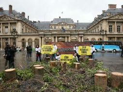 La superficie que podría ser deforestada es siete veces mayor que París, asegura Greenpeace. AFP /