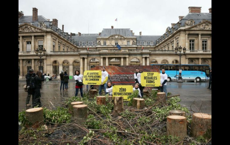 La superficie que podría ser deforestada es siete veces mayor que París, asegura Greenpeace. AFP /