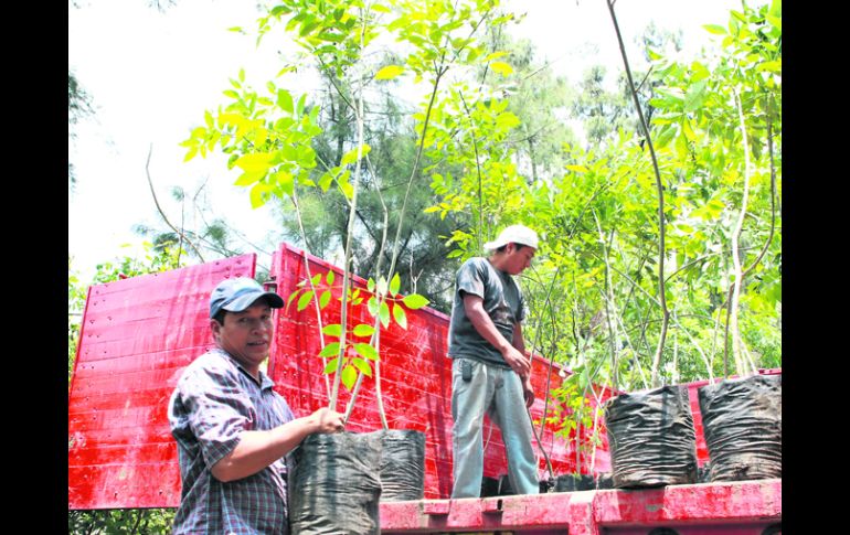 La Dirección de Ecología de Zapopan espera que los niños conozcan los tres viveros del municipio: Guamúchil, Tesistán y Tabachines. EL INFORMADOR /