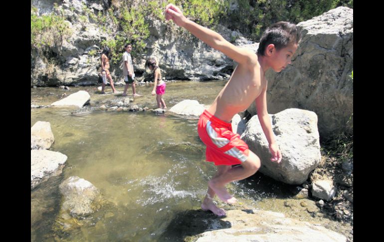 Río caliente es una de las zonas más visitadas en un bosque de 30 mil hectáreas que es vigilado por sólo dos cámaras. EL INFORMADOR /