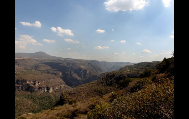 La Barranca de Huentitán fue decretada Área Natural Protegida en 1997. ARCHIVO /