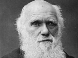 A 204 años de la muerte de su autor, las teorías evolucionistas de Darwin cobran cada vez mayor vigencia. ARCHIVO /