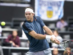 Martín del Potro aspira a conseguir el título 14 de su carrera. AFP /