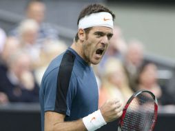 Del Potro celebrando su triunfo sobre el búlgaro Grigor Dimitrov. EFE /