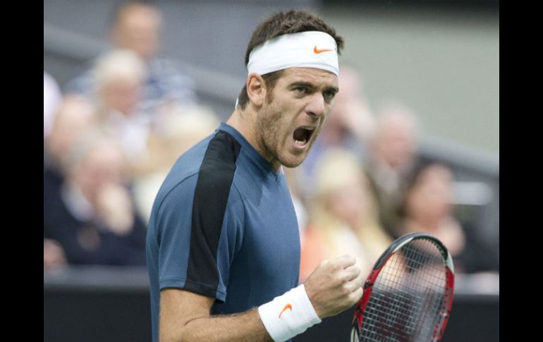 Del Potro celebrando su triunfo sobre el búlgaro Grigor Dimitrov. EFE /