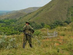 Un miembro de las FARC, aguarda la región montañosa del departamento del Cauca, cerca de Montealagre. ARCHIVO /