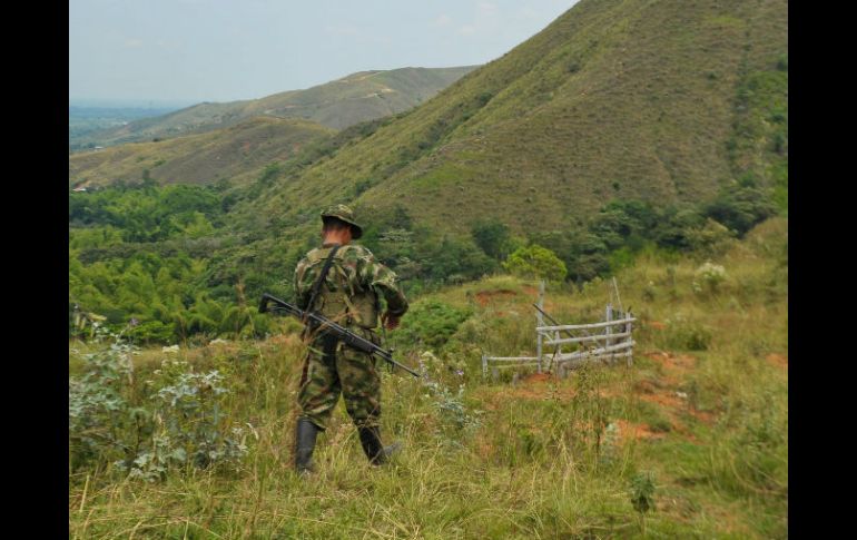 Un miembro de las FARC, aguarda la región montañosa del departamento del Cauca, cerca de Montealagre. ARCHIVO /