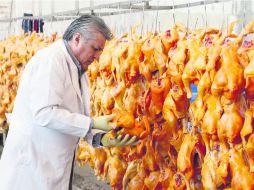 El director del rastro de aves de León, Guanajuato, Óscar Ramos, examina las gallinas sacrificadas a causa del brote de gripe aviar. EFE /