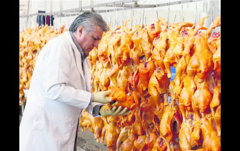 El director del rastro de aves de León, Guanajuato, Óscar Ramos, examina las gallinas sacrificadas a causa del brote de gripe aviar. EFE /