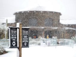 Los greenes y las calles cercanas están completamente cubiertos de nieve. AFP /