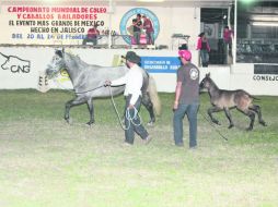 Actividades. Habrá campeonatos mundiales en varias disciplinas. EL INFORMADOR /