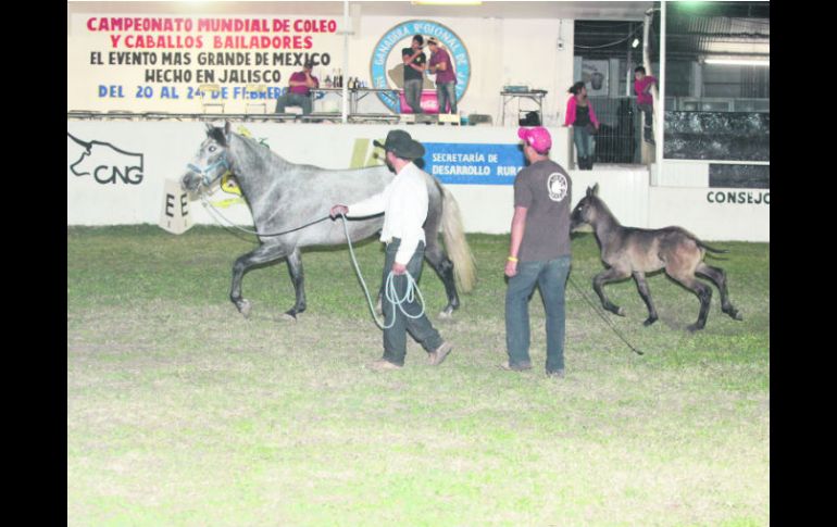 Actividades. Habrá campeonatos mundiales en varias disciplinas. EL INFORMADOR /